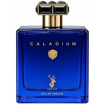 ادوپرفیوم مردانه پاپیلو مدل CALADIUM با رایحه روژا داو الیسیوم حجم 100 میلی لیتر